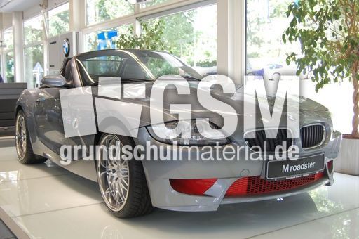 BMW Z4_3.JPG